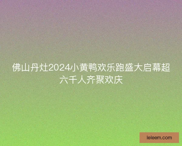 佛山丹灶2024小黄鸭欢乐跑盛大启幕超六千人齐聚欢庆
