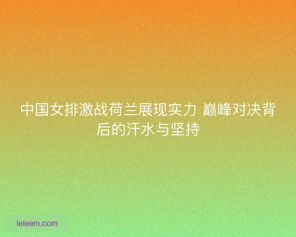 中国女排激战荷兰展现实力 巅峰对决背后的汗水与坚持